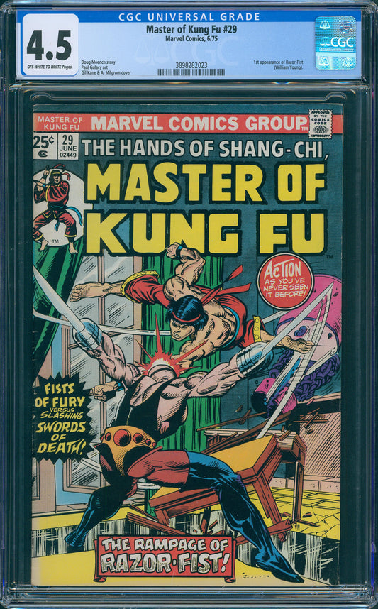 Master of Kung Fu #29